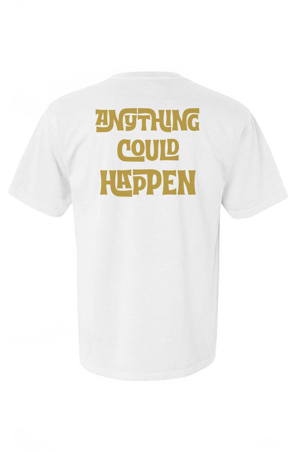 Anything Could Happen T-shirt - Classic Fit & Premium